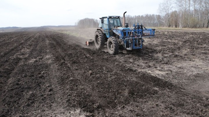 Министерство сельского хозяйства и продовольствия Рязанской области сообщило об увеличении посевных площадей в регионе на 30 тысяч гектаров