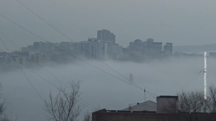Туман парализовал работу аэропорта Владивостока, задержано более 20 рейсов