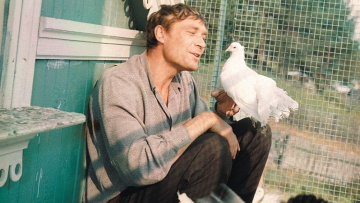 Отреставрированный фильм "Любовь и голуби" выйдет в повторный прокат