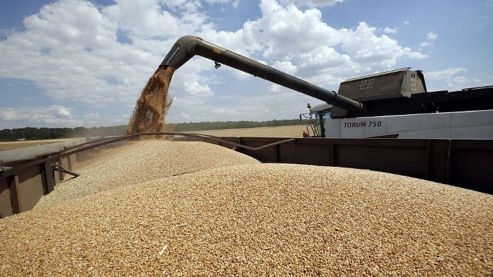 Украина вывозит резерв пшеницы в Европу
