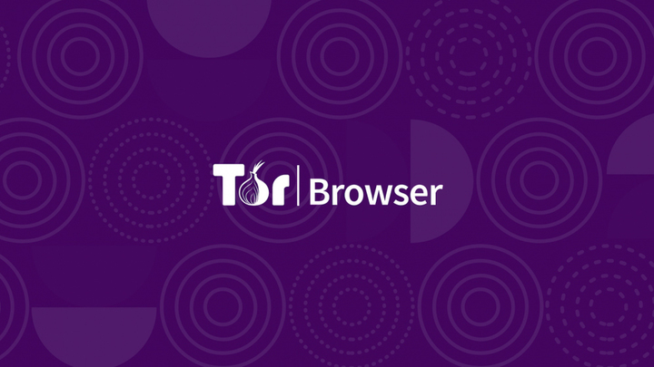 Tor browser запрещен в россии мега как установить adobe flash player на tor browser mega2web