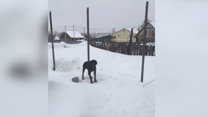 Частые ошибки при использовании автокресел