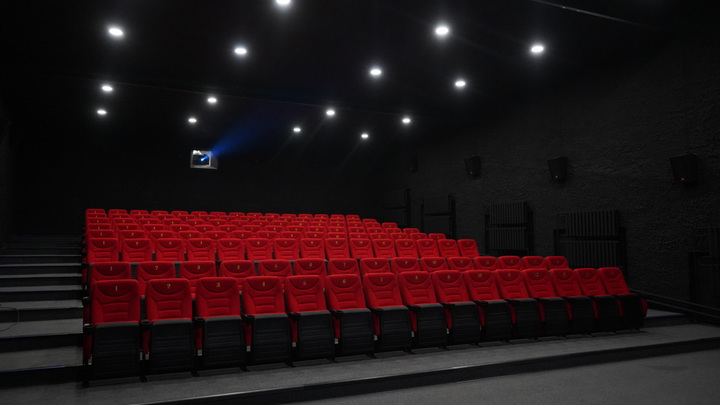 Михаил Швыдкой предложил способ спасения российских кинотеатров
