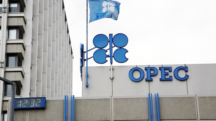 Страны ОПЕК+ договорились о сокращении добычи нефти в 2024 году0