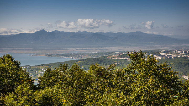 В Хабаровском крае под дальневосточный гектар чуть не отдали сквер