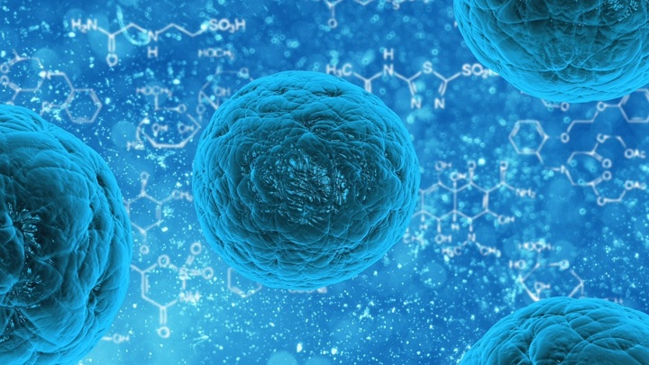 Молекулярная машина времени: клетки кожи удалось омолодить на 30 лет