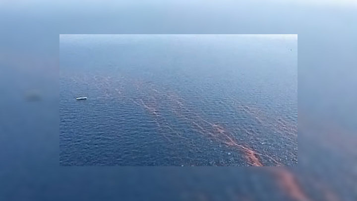 Прямые затраты BP уже превышают 450 миллионов долларов