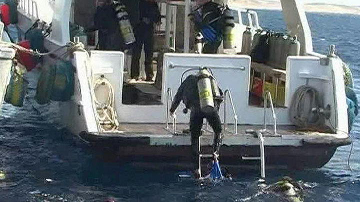 Нападение 2010. Нападение акул в Шарм Эль Шейхе 2010. Нападение акул в Египте 2010 в Шарм Эль Шейхе. Акула напала в Шарм Эль Шейхе. Нападение акул в Шарм Эль Шейхе.