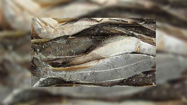 сколько льда в замороженной рыбе. Смотреть фото сколько льда в замороженной рыбе. Смотреть картинку сколько льда в замороженной рыбе. Картинка про сколько льда в замороженной рыбе. Фото сколько льда в замороженной рыбе сколько льда в замороженной рыбе. Смотреть фото сколько льда в замороженной рыбе. Смотреть картинку сколько льда в замороженной рыбе. Картинка про сколько льда в замороженной рыбе. Фото сколько льда в замороженной рыбе