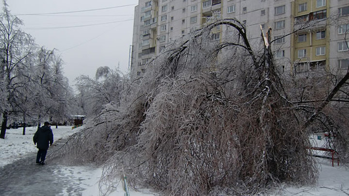 Ледяной дождь 2010