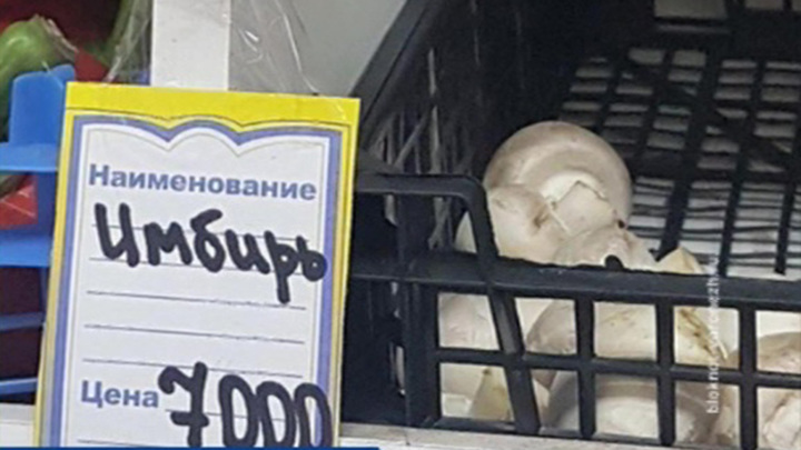 Дмитрий Чернов И Ольга Максимова Фото