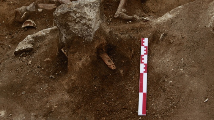 Рядом со скелетами лошадей обнаружены остатки уздечек.