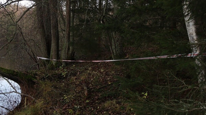 Раскрыта тайна гибели женщины, чей труп нашли в лесу под Питером закопанным по шею