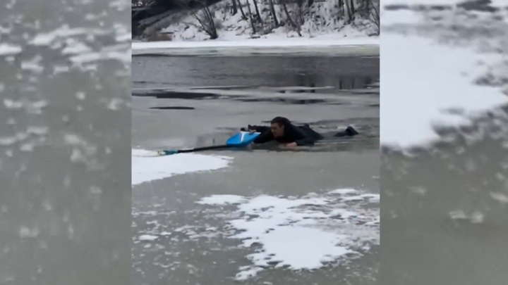Мужчина спас собаку. Спас собаку из ледяной воды.