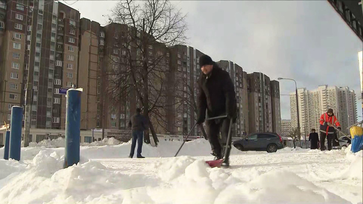 Что делать москвичам сейчас