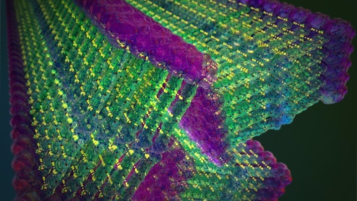 нанолента это для чего. Смотреть фото нанолента это для чего. Смотреть картинку нанолента это для чего. Картинка про нанолента это для чего. Фото нанолента это для чего нанолента это для чего. Смотреть фото нанолента это для чего. Смотреть картинку нанолента это для чего. Картинка про нанолента это для чего. Фото нанолента это для чего