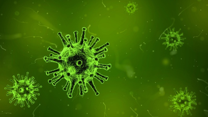 Вирусы следят за нами: у них есть чувствительность к внешней среде