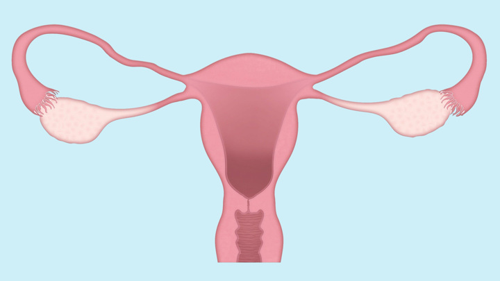 Менструальная кровь оказалась способна лечить травмы и ожоги