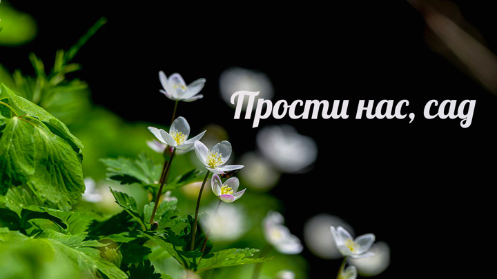 Художественный фильм