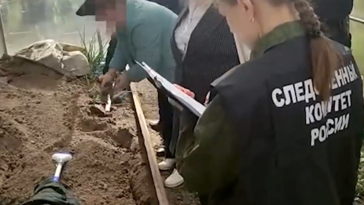 Показала, как закапывала зятя. Подробности семейного преступления в Вязьме. Вести