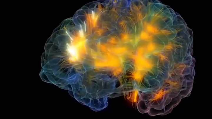 Коронавирус убивает клетки головного мозга. Вести
