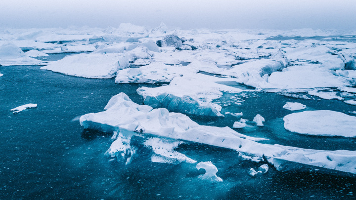 Таяние арктических льдов приводит к тому, что в океане повышается концентрация ядовитых веществ.