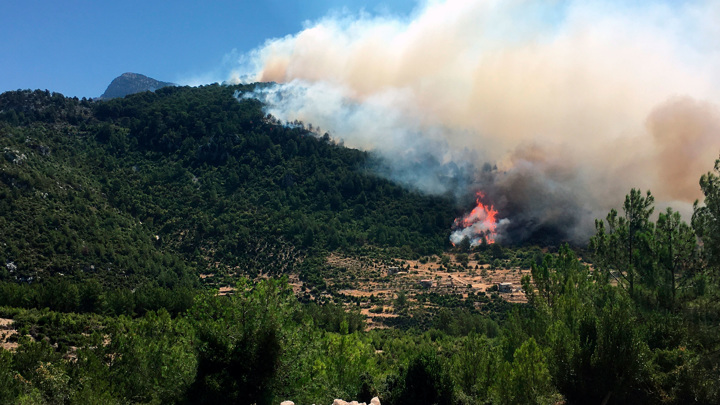 В Турции нашли ответственных за лесные пожары // Смотрим
