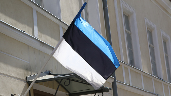 В Эстонии депутат оштрафован на €400 за наезд на участника антиковидного митинга