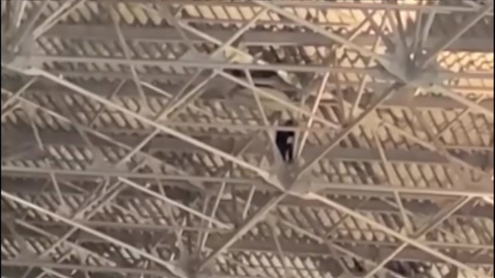 Пьяный кубинец залез под самую крышу терминала аэропорта Внуково