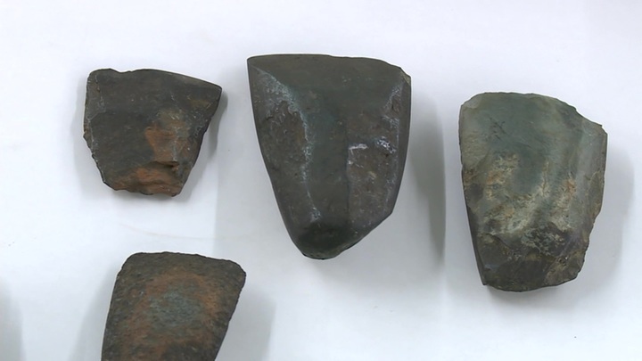 Артефакты с острова Няша: в Томской области нашли уникальные предметы