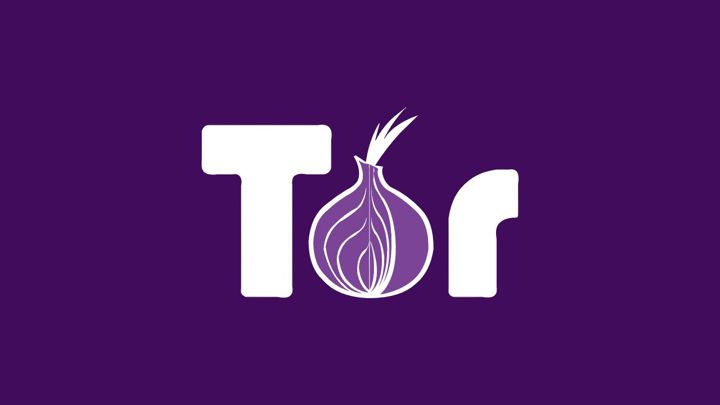 В России заблокировали сайт проекта сети Tor и одноимённый браузер