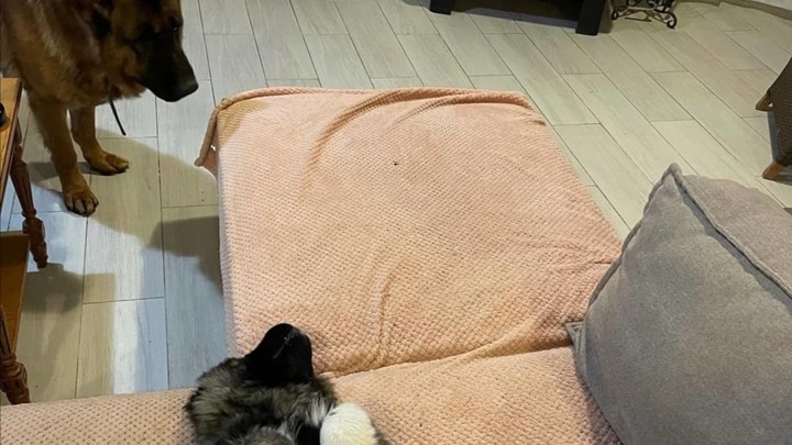 Фото из https://www.instagram.com/drmyasnikov.ru/ Фото из https://www.instagram.com/drmyasnikov.ru/