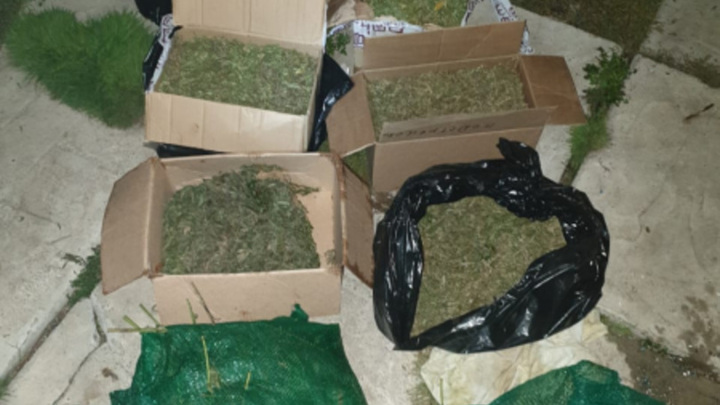 Полицейские изъяли 17 кг марихуаны у жительницы Приморья
