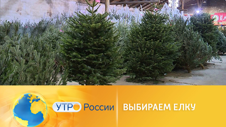 Разговор У Новогодней Елки Минус