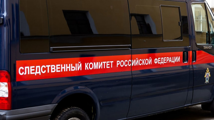 Рязанский СК начал проверку по факту гибели двух человек в машине