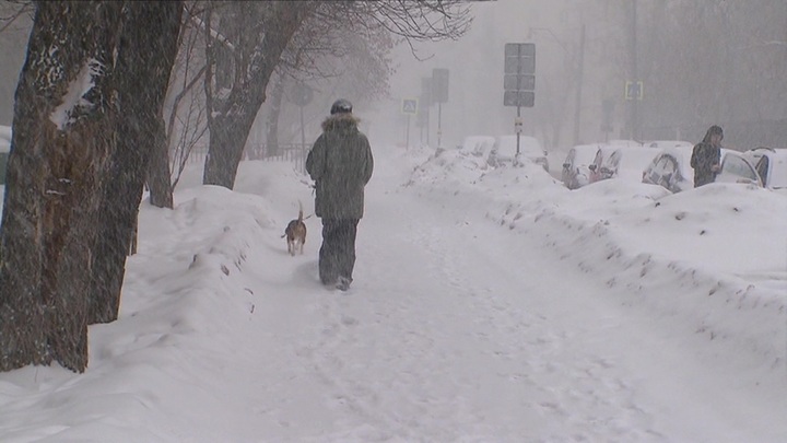 репортажный портрет. теплый день в москве зима. погода репортаж. портрет репортаж. погода репортаж.