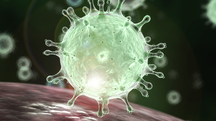 Мутаций коронавируса будет становиться всё больше, но его опасность уменьшается