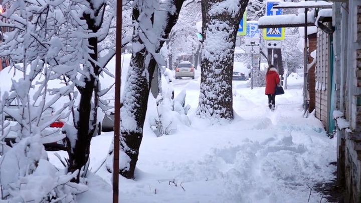 Циклоны "Мария" и "Надя" принесут в Москву пятидневные снегопады