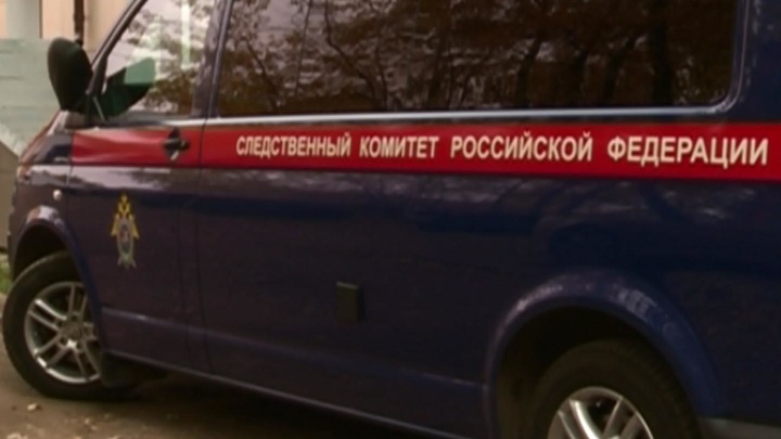 Двух восьмимесячных близнецов нашли в московской квартире