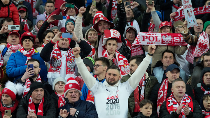 Польcкие фанаты оскорбляли россиян на матче со Швецией