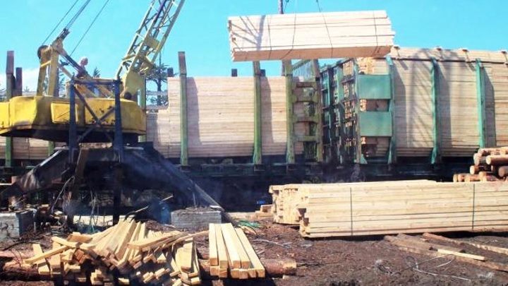Бизнесмен переправил контрабандой лесоматериалы на 100 миллионов