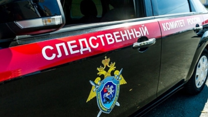 В Воронежской области местный житель выстрелил в ногу приятелю за оскорбление семьи