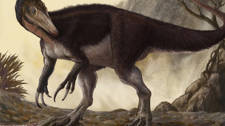 Окаменелость хищного динозавра-гиганта найдена в Великобритании