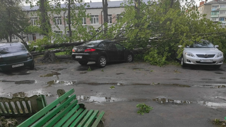 Ураган в Брянске: поваленные деревья, сорванные крыши и пострадавшие