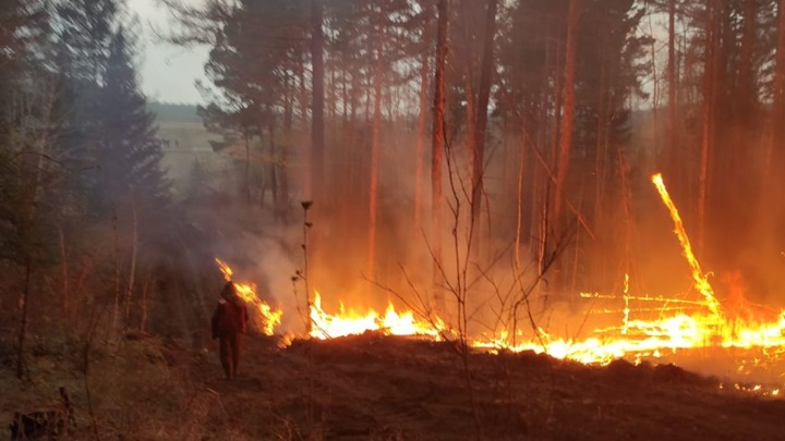 Село Буря в Зиминском районе семь часов спасали от угрозы перехода лесного пожара