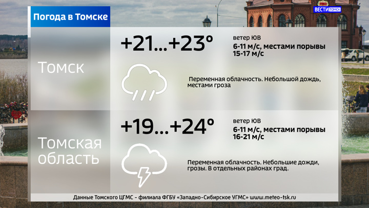 Дожди и грозы ожидаются в Томской области в понедельник