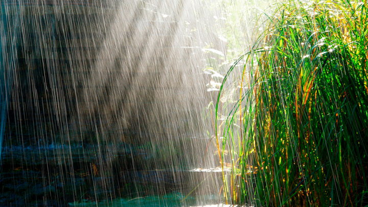 На Кубани 23 мая пройдет кратковременный дождь