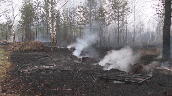 Волонтеры и спасатели продолжают бороться с природными пожарами в Свердловской области