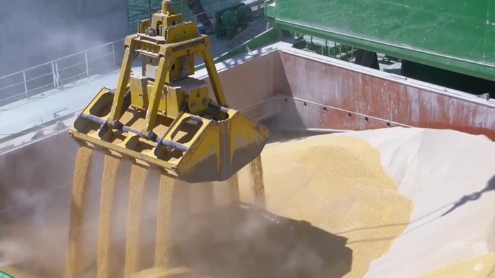 Bloomberg: экспорт зерна с Украины может возобновиться в течение недели