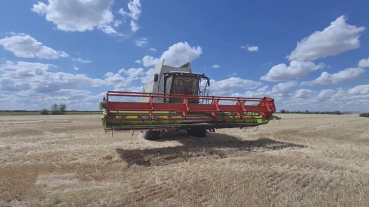Украина технически готова к вывозу зерна